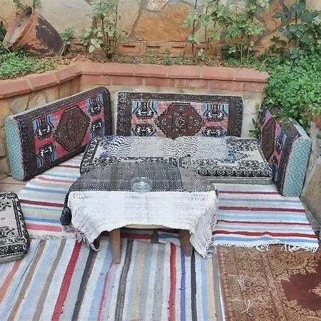 Wasa Alanya